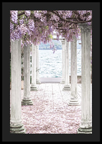 Fotografi av vita pelare täckta av lila blåregnsblommor vid sjö-4