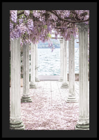 Zdjęcie białych filarów pokrytych fioletowymi kwiatami glicynii nad jeziorem-4