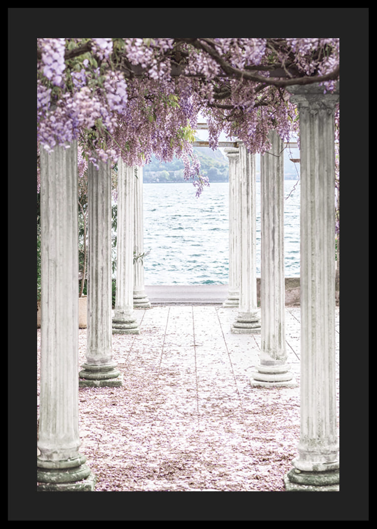 Zdjęcie białych filarów pokrytych fioletowymi kwiatami glicynii nad jeziorem-12