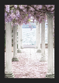 Fotografi av vita pelare täckta av lila blåregnsblommor vid sjö-5