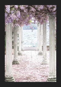 Zdjęcie białych filarów pokrytych fioletowymi kwiatami glicynii nad jeziorem-5