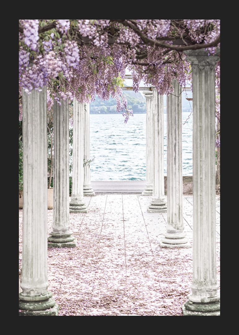 Zdjęcie białych filarów pokrytych fioletowymi kwiatami glicynii nad jeziorem-12