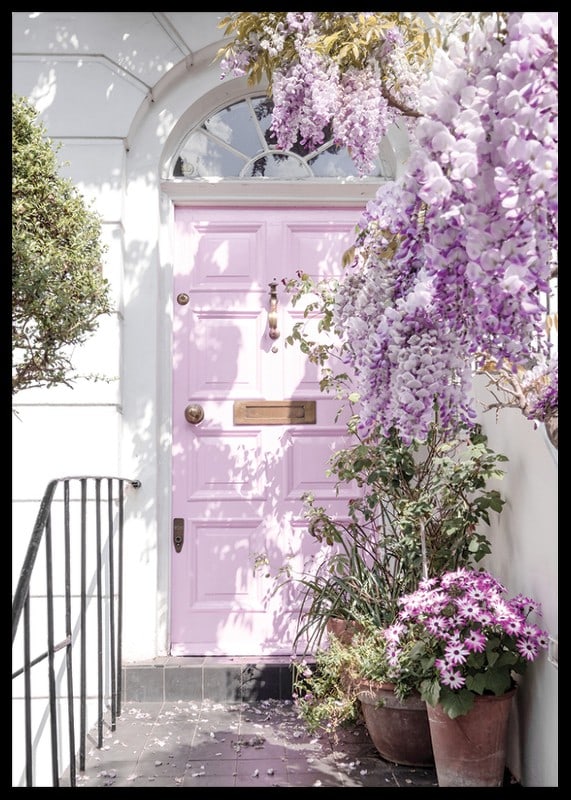 Light purple entrance door surrounded by purple flowers and greenery-12