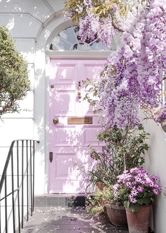 Light purple entrance door surrounded by purple flowers and greenery-12