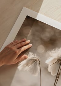 Fotografi på vit bomullsgräs med mjuk bakgrund i beige toner-9