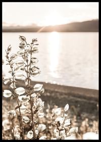 Autumn Meadow-2