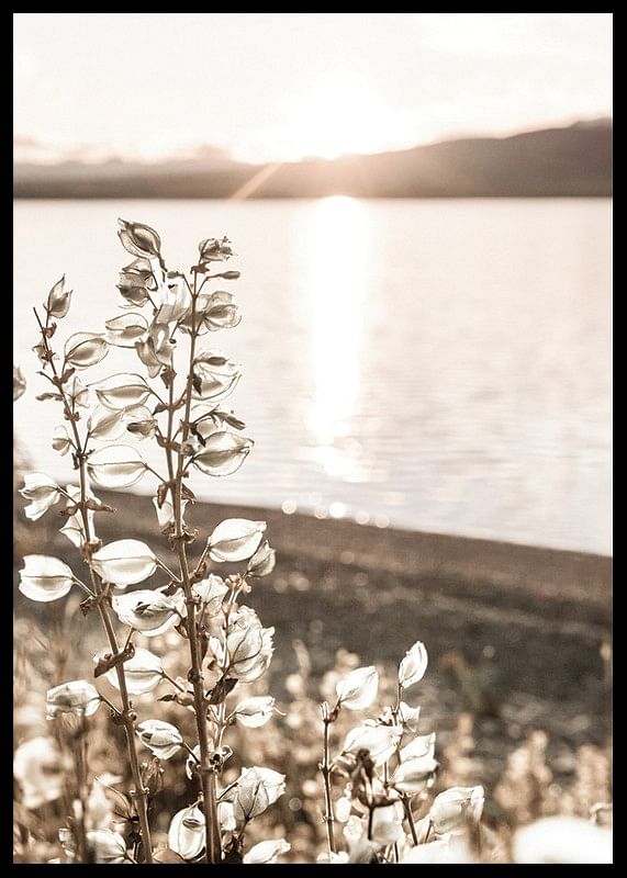 Autumn Meadow-12