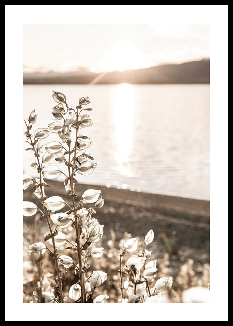 Photograph of dried plants by the water in backlight, autumn tones-12
