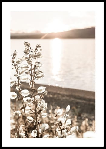 Poster Autumn Meadow