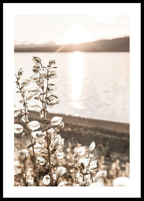 Autumn Meadow-12