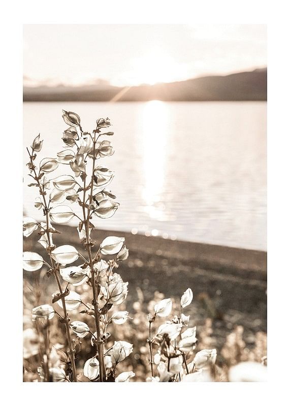 Autumn Meadow-12