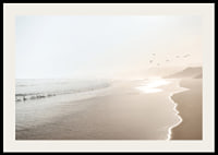 Photograph of sunlit beach with soft waves and birds-2