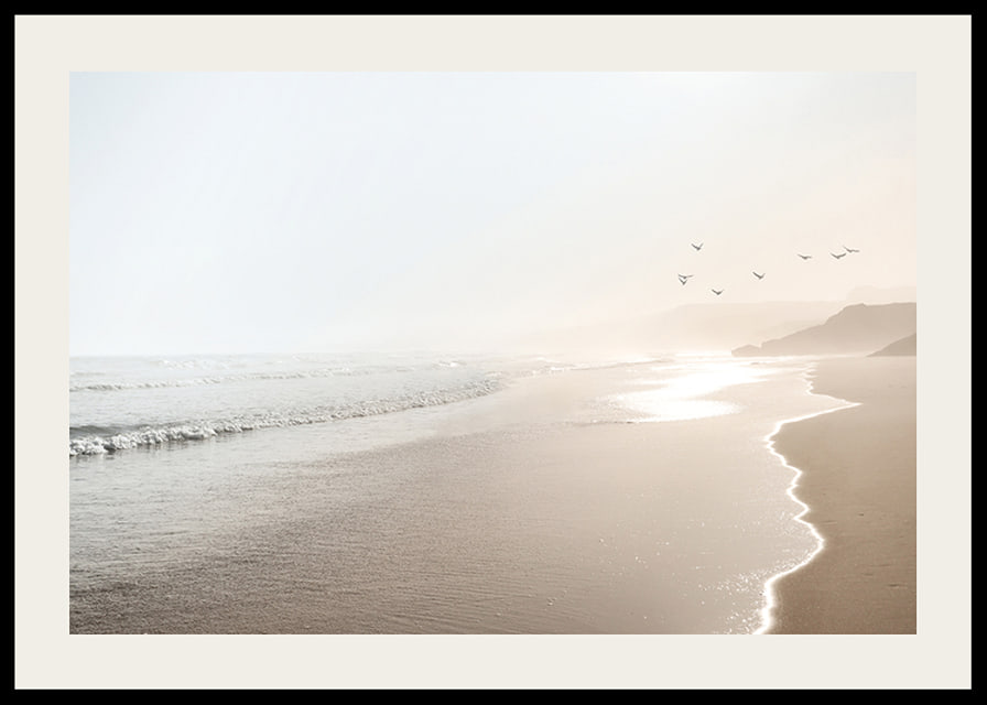 Photograph of sunlit beach with soft waves and birds-12