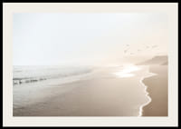 Fotografi av solbelyst strand med mjuka vågor och fåglar-2