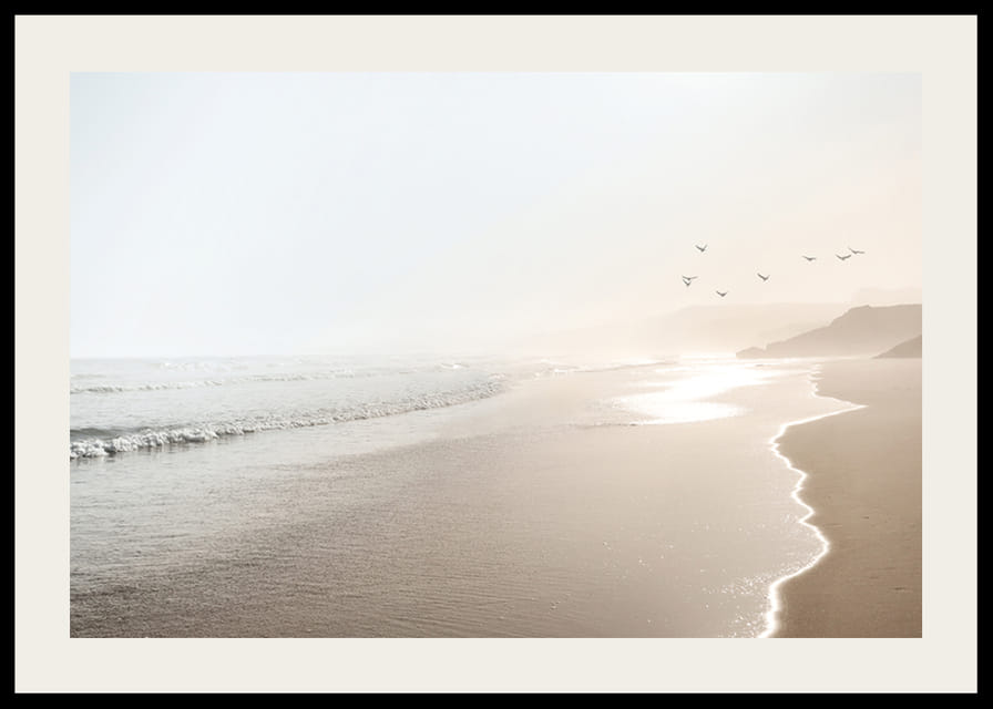 Fotografi av solbelyst strand med mjuka vågor och fåglar-12