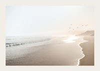 Photograph of sunlit beach with soft waves and birds-3