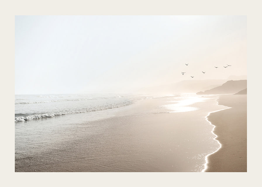 Photograph of sunlit beach with soft waves and birds-12