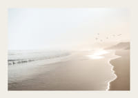 Fotografi av solbelyst strand med mjuka vågor och fåglar-3