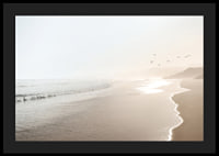 Photograph of sunlit beach with soft waves and birds-4