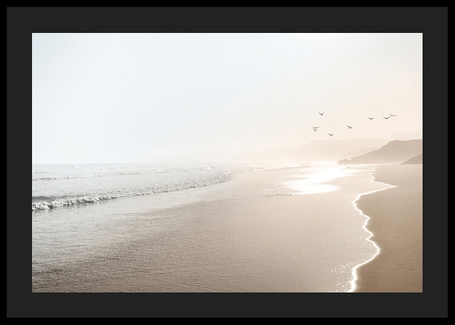 Photograph of sunlit beach with soft waves and birds-12