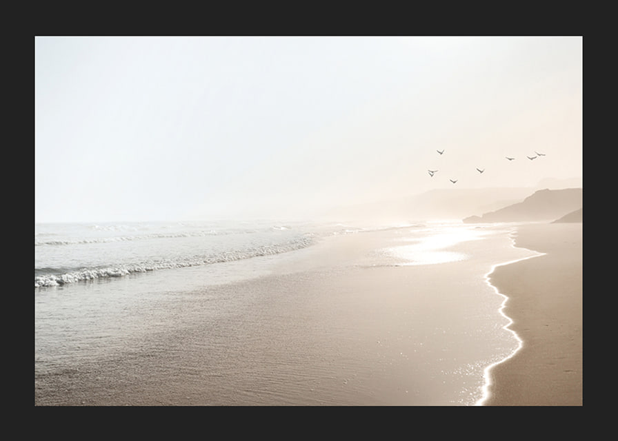 Photograph of sunlit beach with soft waves and birds-12