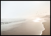 Photograph of sunlit beach with soft waves and birds-6