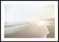 Photograph of sunlit beach with soft waves and birds-0