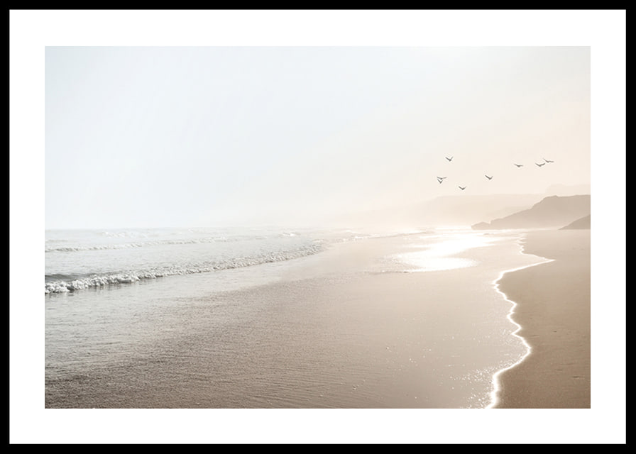 Photograph of sunlit beach with soft waves and birds-12
