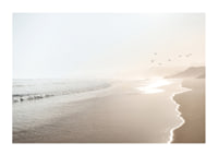 Photograph of sunlit beach with soft waves and birds-1