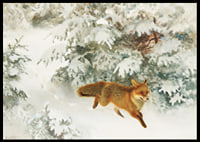 Fox in Winter Landscape By Bruno Liljefors No1-8