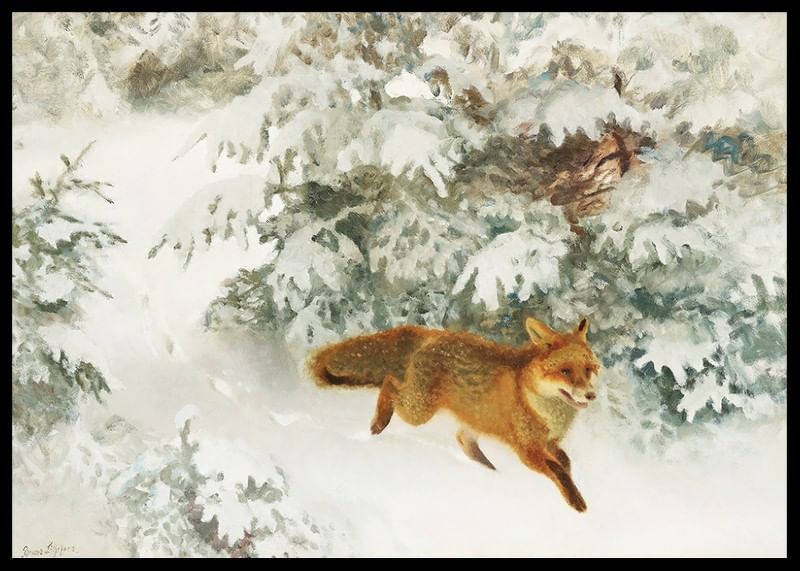 Fox in Winter Landscape By Bruno Liljefors No1-12
