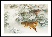 Fox in Winter Landscape By Bruno Liljefors No1-2
