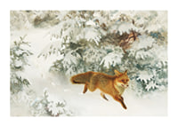Fox in Winter Landscape By Bruno Liljefors No1-3