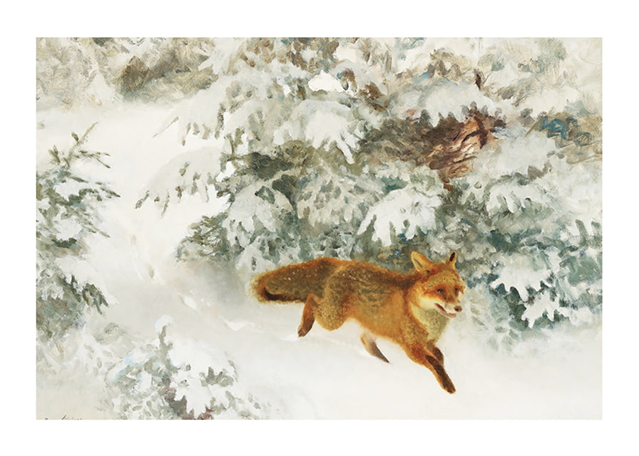 Fox in Winter Landscape By Bruno Liljefors No1-12