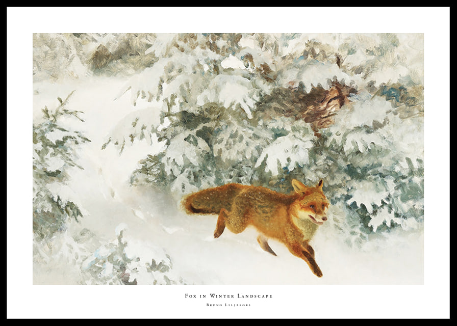 Fox in Winter Landscape By Bruno Liljefors No1-12