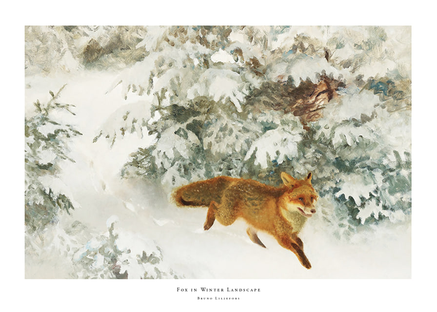Fox in Winter Landscape By Bruno Liljefors No1-12