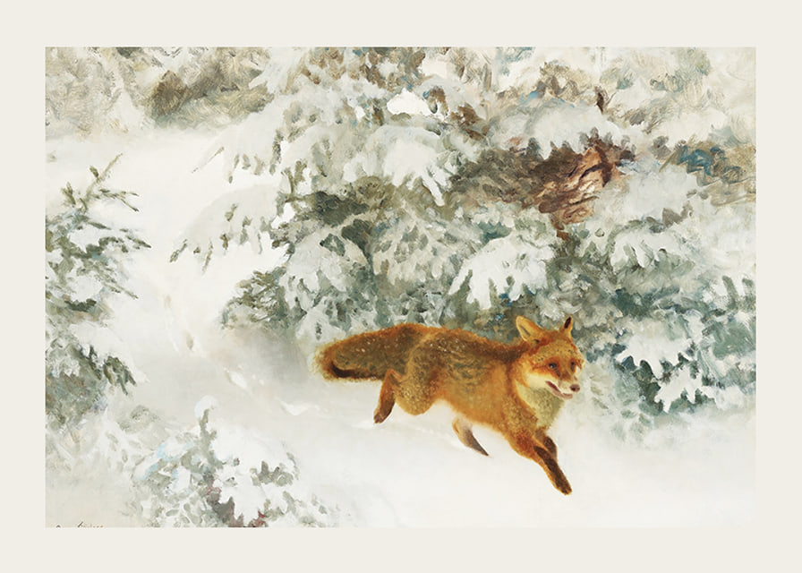 Fox in Winter Landscape By Bruno Liljefors No1-12