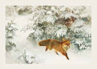 Fox in Winter Landscape By Bruno Liljefors No1-5