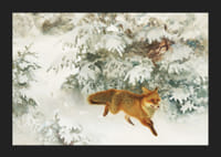 Fox in Winter Landscape By Bruno Liljefors No1-7