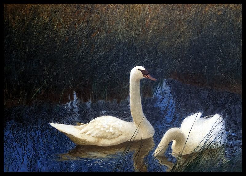 Swans in Reeds By Bruno Liljefors-12