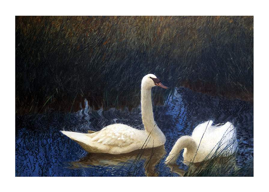 Swans in Reeds By Bruno Liljefors-12