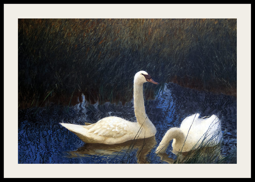 Swans in Reeds By Bruno Liljefors-12