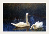 Swans in Reeds By Bruno Liljefors-5