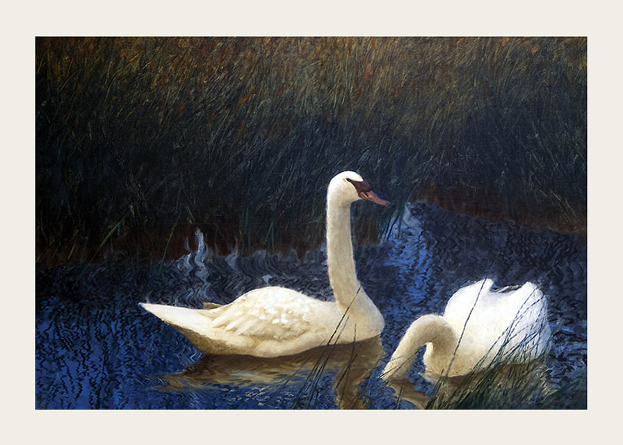 Swans in Reeds By Bruno Liljefors-12