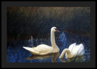 Swans in Reeds By Bruno Liljefors-6