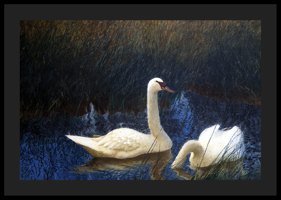 Swans in Reeds By Bruno Liljefors-12