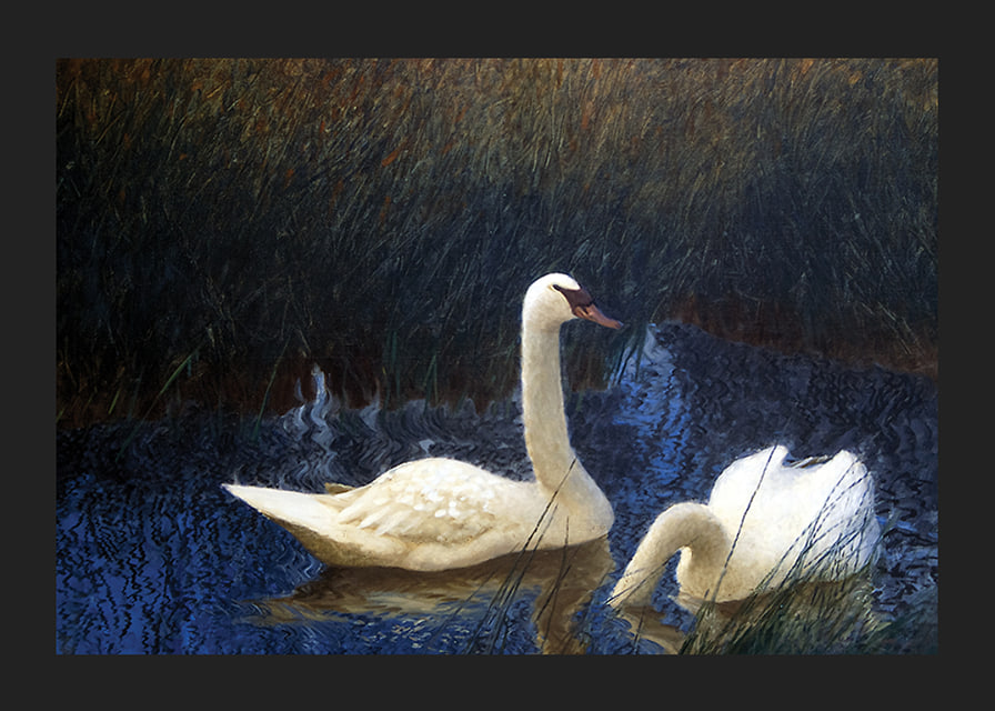 Swans in Reeds By Bruno Liljefors-12