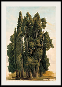 Villa d'Este By Gustaf Wilhelm Palm-4