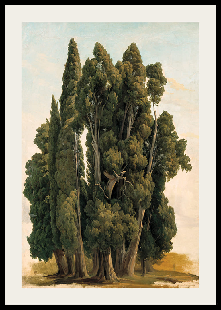 Villa d'Este By Gustaf Wilhelm Palm-12