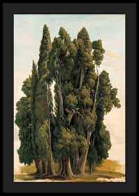 Villa d'Este By Gustaf Wilhelm Palm-6